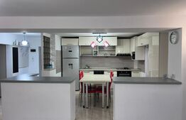 Penthouse 4 camere, 160 mp, zona Micro 3