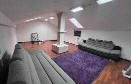 Penthouse 4 camere, 160 mp, zona Micro 3