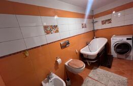 Penthouse 4 camere, 160 mp, zona Micro 3