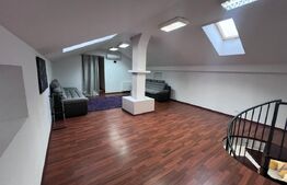 Penthouse 4 camere, 160 mp, zona Micro 3