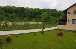 Vilă 327 mp, teren 3173 mp, Cobia