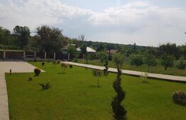 Vilă 327 mp, teren 3173 mp, Cobia