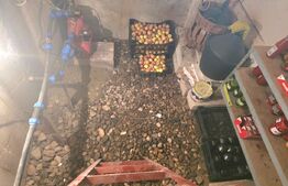 Proprietate Excepțională în Mircea Vodă | 1.749 mp Teren – Gata de Locuit