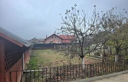 Proprietate Excepțională în Mircea Vodă | 1.749 mp Teren – Gata de Locuit