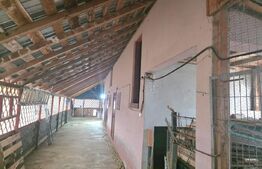 GOSPODĂRIE PREMIUM | 1.749 mp Teren | Mutare Imediată la 50 km de Bucuresti