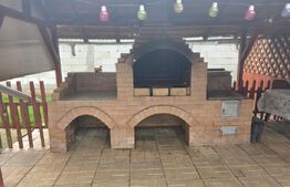 Casă parter 145 mp + teren 1.749 mp, strada Mircea Vodă