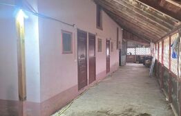 GOSPODĂRIE PREMIUM | 1.749 mp Teren | Mutare Imediată la 50 km de Bucuresti