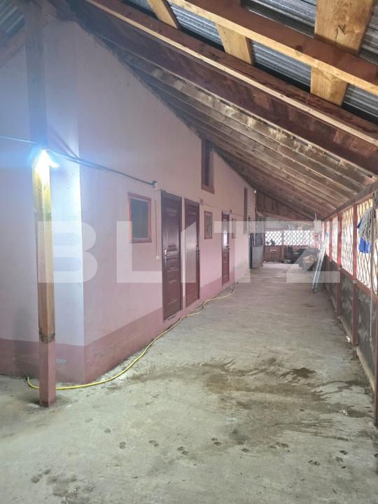 Casa de vânzare 4 camere Exterior Sud - 183418CV | BLITZ Târgoviște | Poza12