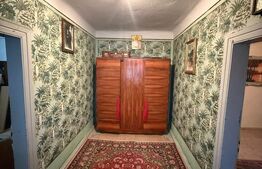 Proprietate completa in Sacuieni- Doua Case + Anexe