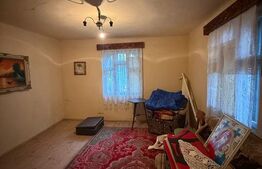 Proprietate completa in Sacuieni- Doua Case + Anexe