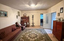 Proprietate completa in Sacuieni- Doua Case + Anexe