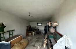 Proprietate completa in Sacuieni- Doua Case + Anexe