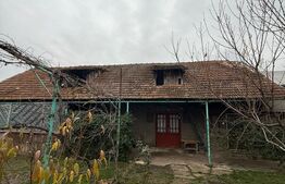 Proprietate completa in Sacuieni- Doua Case + Anexe