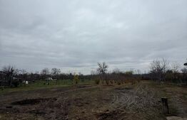 Proprietate completa in Sacuieni- Doua Case + Anexe