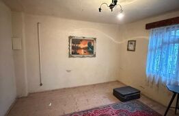 Proprietate completa in Sacuieni- Doua Case + Anexe