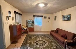 Proprietate completa in Sacuieni- Doua Case + Anexe