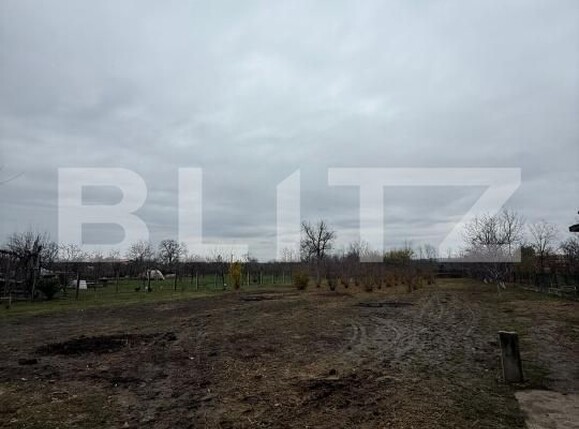 Casa de vânzare 3 camere Sacueni - 183419CV | BLITZ Târgoviște | Poza12