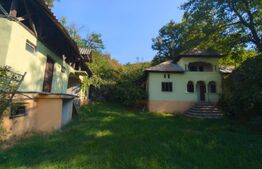Casă + Teren 4.300 mp, Gheboieni – la doar 15 km de Târgoviște