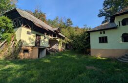 Casă + Teren 4.300 mp, Gheboieni – la doar 15 km de Târgoviște