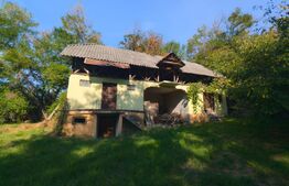 Casă + Teren 4.300 mp, Gheboieni – la doar 15 km de Târgoviște