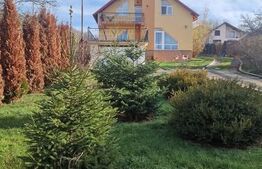 Vilă de vânzare, 156 mp — zona Centrală Pucioasa