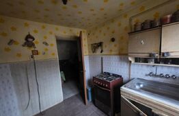 Casă P+1, 180 mp, Centru