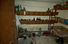 Casă P+1, 180 mp, Centru