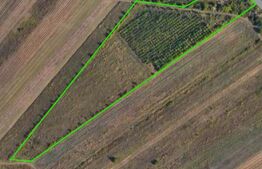 Teren 24.712 mp, parcelabil, zona Nord