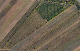 Teren 24.712 mp, parcelabil, zona Nord