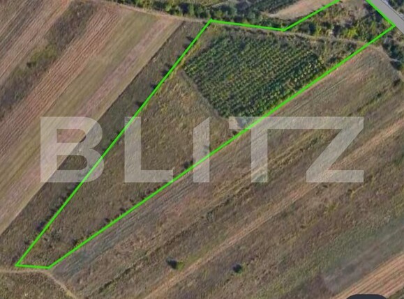 Teren de vânzare Nord - 183920TV | BLITZ Târgoviște | Poza2