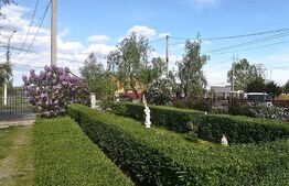 Unde Tradiția Întâlnește Confortul – Domeniu Rustic 3 Min. de Târgoviște