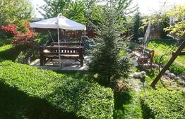 Unde Tradiția Întâlnește Confortul – Domeniu Rustic 3 Min. de Târgoviște