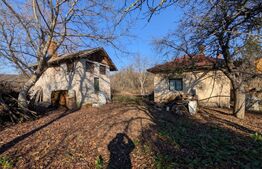 Gura Foii Casă individuală 48 mp 2.000mp teren +2800mp teren padure