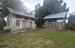 Gura Foii Casă individuală 48 mp 2.000mp teren