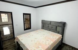 Liniște, spațiu și eleganță – casă superbă lângă Titu