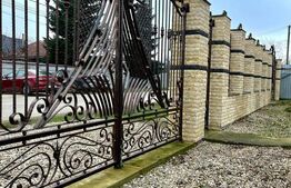 Liniște, spațiu și eleganță – casă superbă lângă Titu