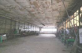 Teren 2.412 mp, hală 600 mp – front 32.5 m, zona Centura