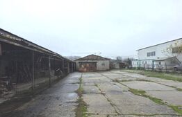 Teren 2.412 mp, hală 600 mp – front 32.5 m, zona Centura