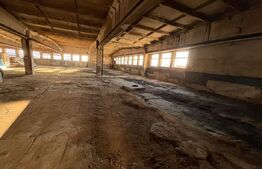 Hală industrială 800 mp, curte și parcare proprie, acces auto – zona Micro 6