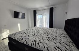 Casa de vanzare, 300 mp, zona Sud