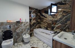 Casa de vanzare, 300 mp, zona Sud