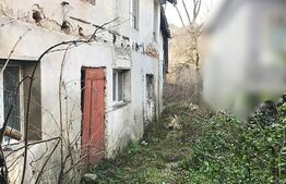 Oportunitate unică lângă Primăria Pietroșița - Monument Istoric + Hală –Investi