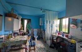  Gheboieni proprietate de renovat– 1100 mp, liniște și intimitate