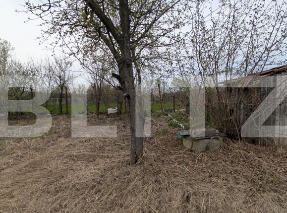 Casa de vânzare 4 camere Dragomiresti - 184732CV | BLITZ Târgoviște | Poza14