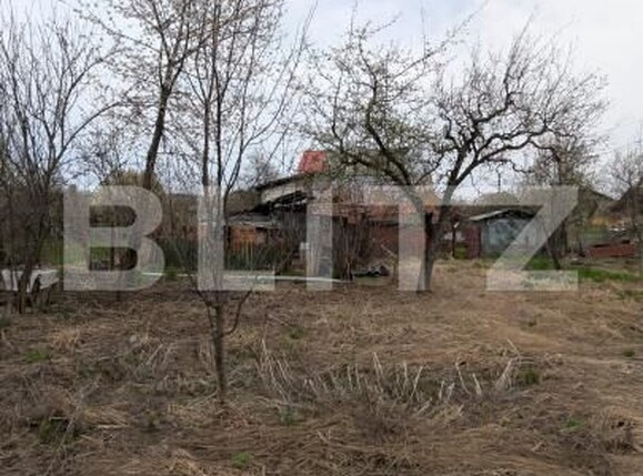 Casa de vânzare 4 camere Dragomiresti - 184732CV | BLITZ Târgoviște | Poza16