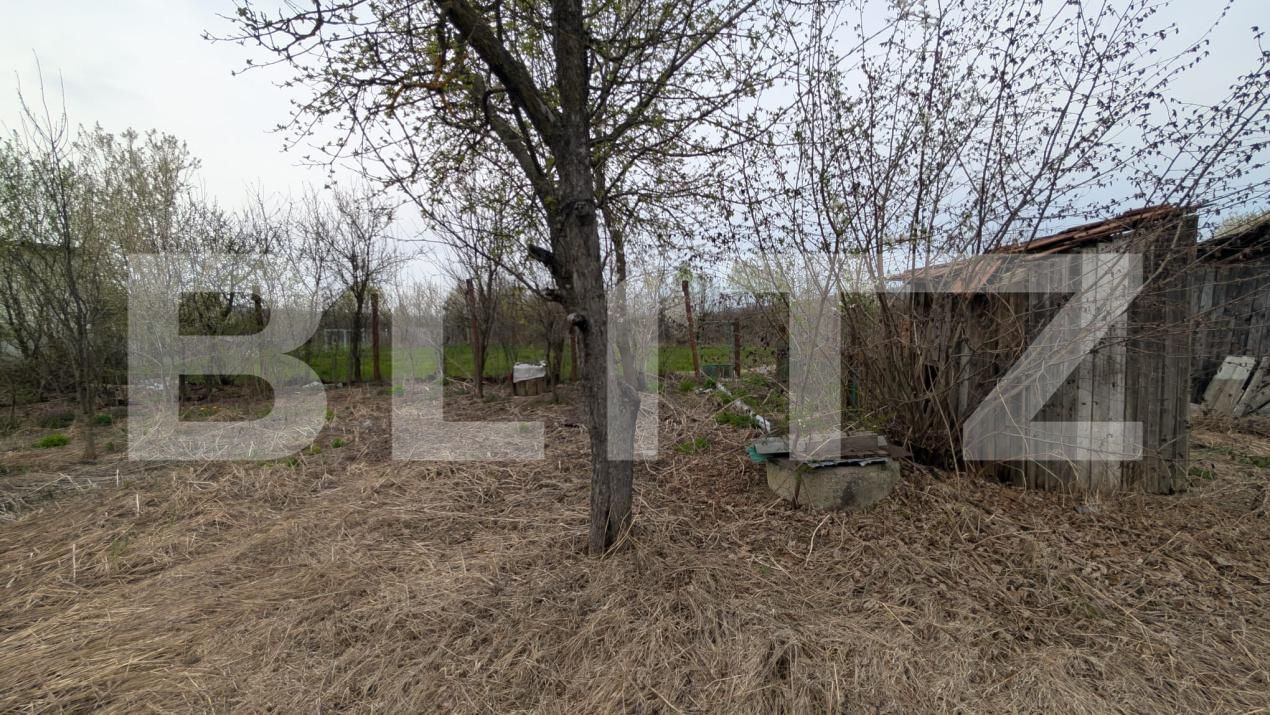 Casa de vânzare 4 camere Dragomiresti - 184732CV | BLITZ Târgoviște | Poza14