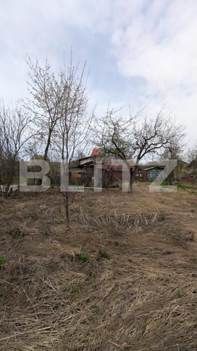 Casa de vânzare 4 camere Dragomiresti - 184732CV | BLITZ Târgoviște | Poza16