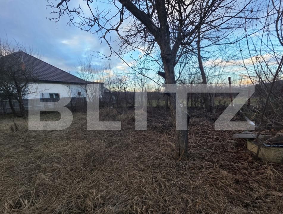 Casa de vânzare 4 camere Exterior Vest - 184732CV | BLITZ Târgoviște | Poza4