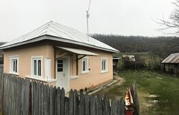 Casă + Teren - 1.724 mp Parcelat de vânzare – Valea Mare, Dâmbovița