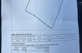 Teren intravilan 6.800 mp în Răzvad – deschidere 70 m, ideal investiție